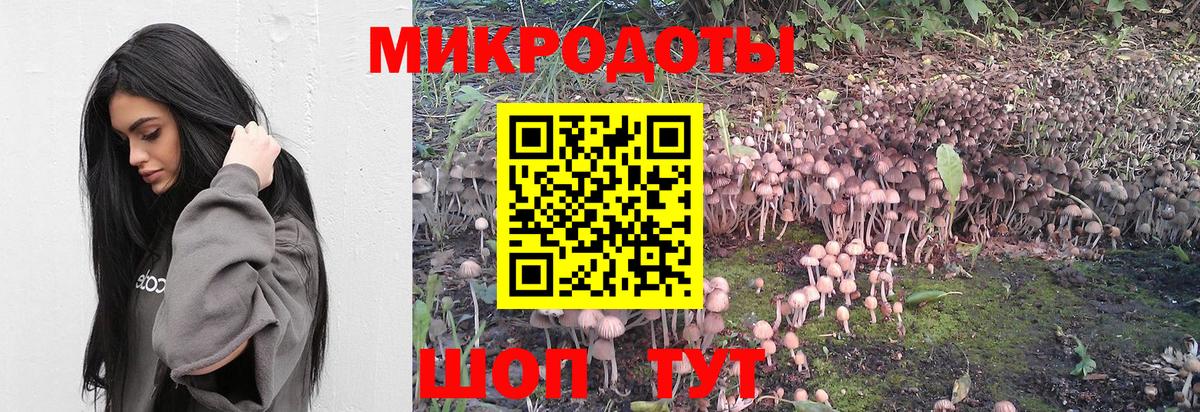 Галлюциногенные грибы мухоморы Симферополь