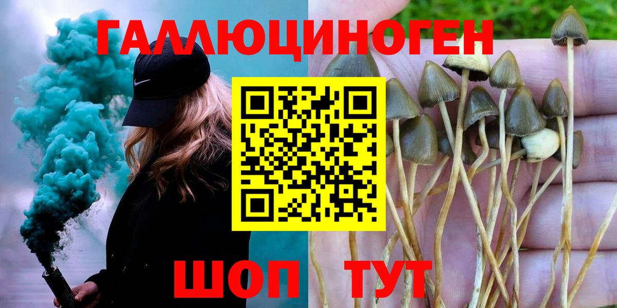 Псилоцибиновые грибы мицелий  Вход с VPN  Симферополь  Галлюциногенные грибы мухоморы 